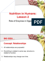 Human Nutrition Lesson 2