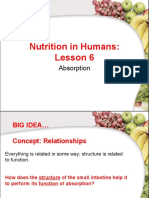Human Nutrition Lesson 6