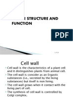 2 Cell Wall