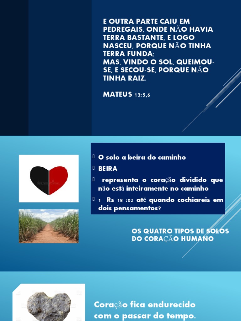 Raiz Numa Terra Seca, PDF, Jesus