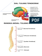 Setoran Tulang