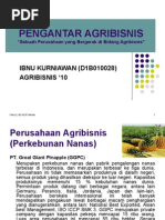 Download Perusahaan Agribisnis by Ibnu Kurniawan Soetomo SN62225071 doc pdf