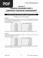 105-Foreign Exchange Risk