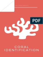 Coral Identification Manual