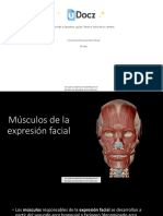 Musculos de La Expresion Facial