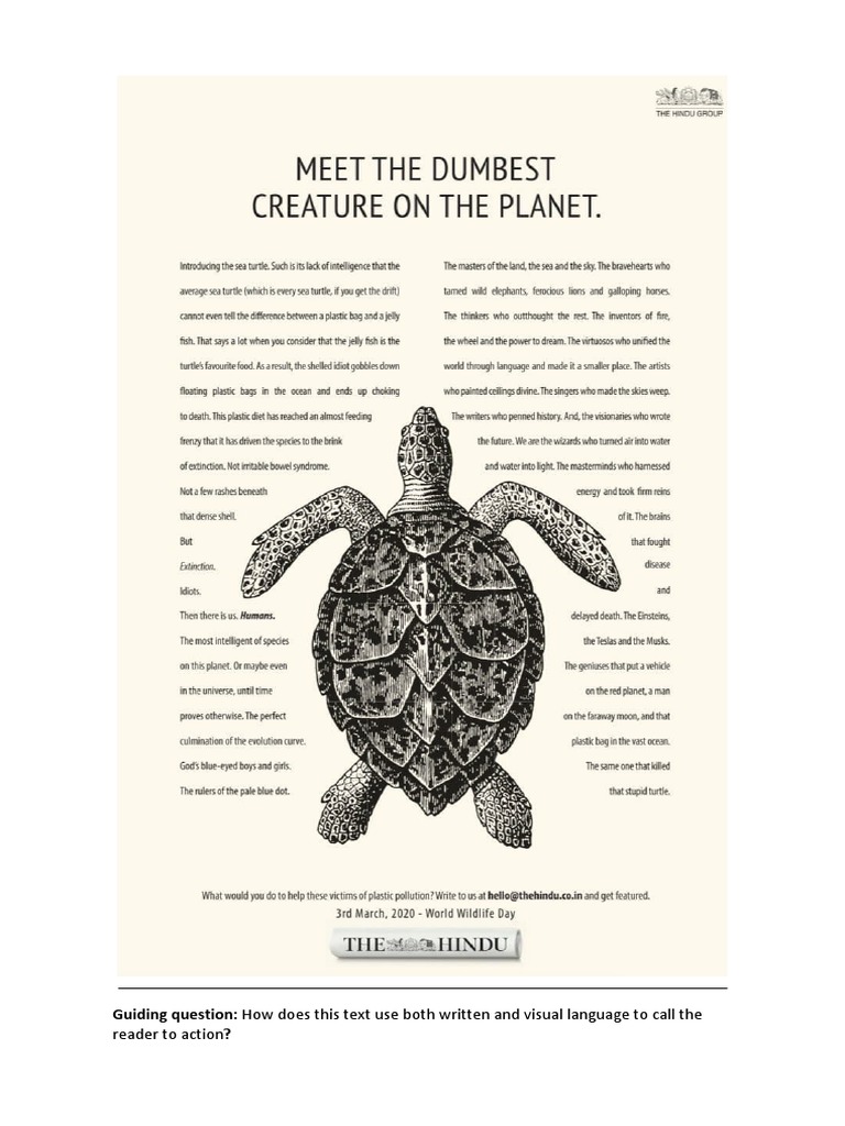 Sea Turtle | PDF | Career & Growth | Art