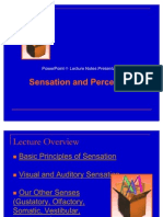 Csa-B Psych: Perception and Sensations