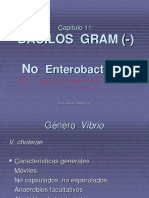 BG - No Enterobacterias