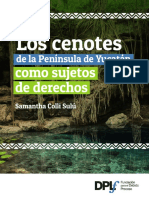 Cenotes Peninsula Yucatan Sujeto Derechos DPLF 2022 0