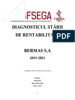 Proiect Diagnostic Financiar-BERMAS 1.2