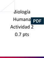 Actividad 2 Términos Anatómicos