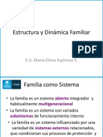 11 - Estructura y Dinámica Familiar