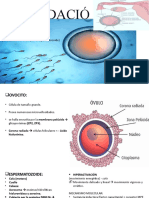 Fecundación y Diferenciación Celular