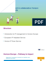 4 - Ip Management in Collab Horizon Projects - en