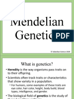 EDITABLE Basic Genetics PowerPoint