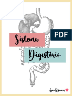 Sistema Digestorio Resumo Natalia Porto 2