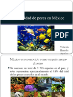 Biodiversidad de Peces en México