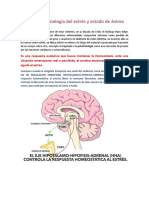 Lección 4. Fisiología Del Estrés y Estado de Ánimo