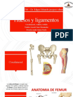 Huesos y Ligamentos