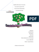 Constelaciones Familiares