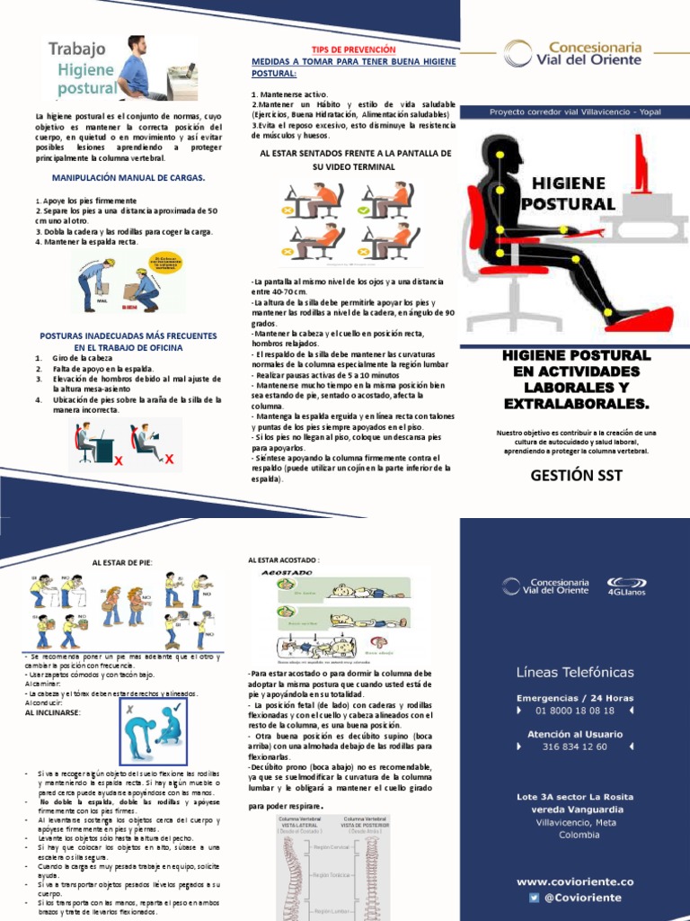 Higiene Postural | PDF | Dolor lumbar | Pie