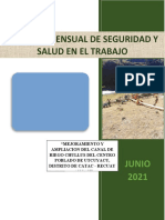 Informe Mensual de Seguridad y Salu Ocupacional-Canal de Riego