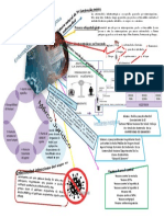 Holografia de Rizoma