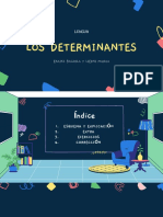 Los Determinantes Esquema