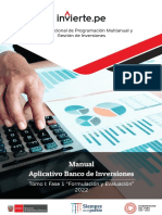 Manual DGPMI Formulacion I Inviertepe 5.10