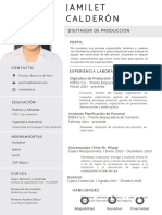 Curriculum Curriculo CV Profesional Minimalista Original