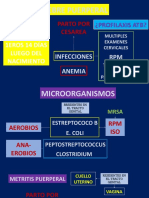 Exposición 1