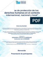 Sistemas de Protección de Los Derechos Humanos.... NP