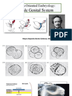 Desarrollo Del Sistema Genital Femenino - e