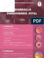 Desarrollo Embrionario y Fetal