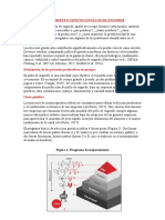 Mejoramiento Genetico Pollos de Engorde