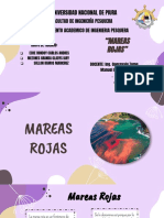 Mareas Rojas 