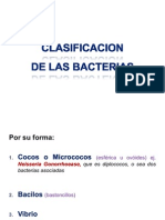 Clasificacion de Las Bacterias