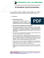 Plan Seguridad y Salud Obra Mejoramiento Pistas y Veredas Av. Fernando León Arechua Ica