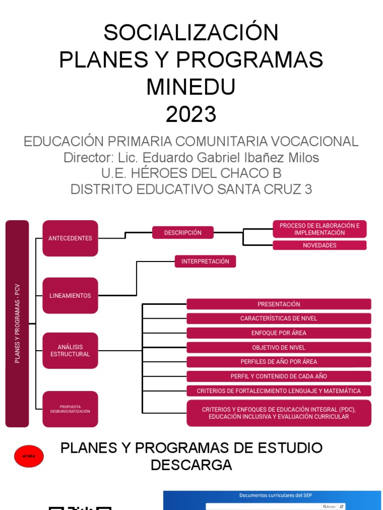 Planes y Programas de Educación Primaria | PDF | Evaluación