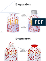 Vapor Pressure