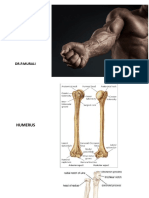 Anterior Compartment of Forearm