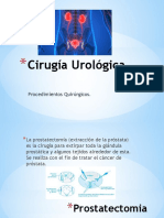 Cirugía Urológica