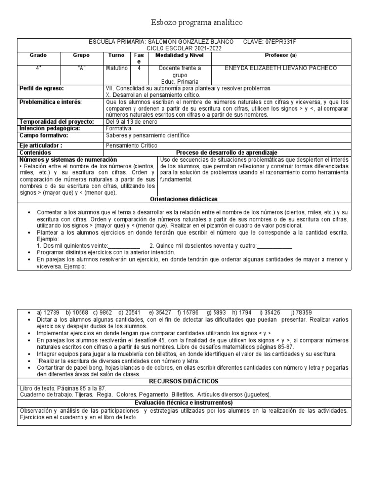 esbozo-programa-anal-tico-pdf-cognici-n-aprendizaje