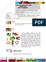 Format Tugas Panduan Praktikum IPA