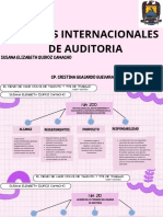 Normas Internacionales de Auditoria Susana Quiroz