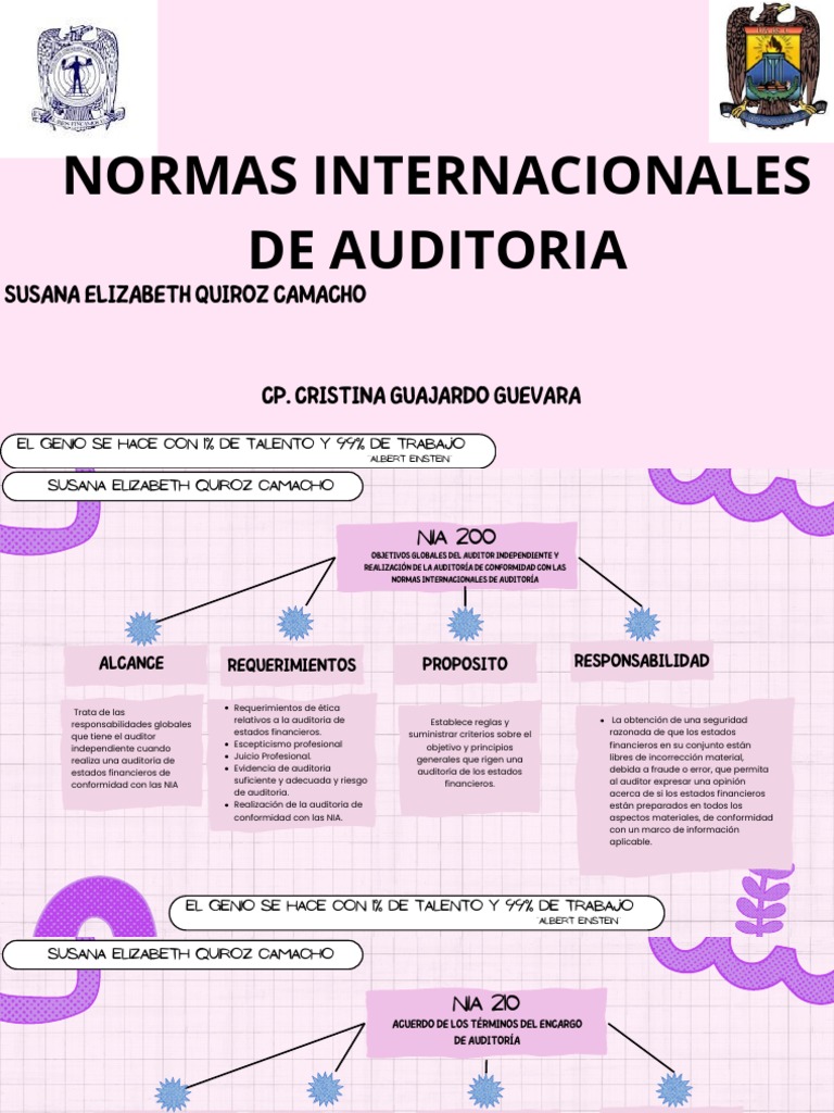 Auditoría: Responsabilidades y Normas NIA | PDF | Auditoría | Contralor