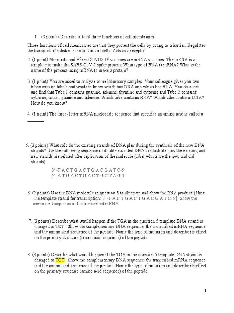 Bio Questions PDF Nucleic Acid Sequence Rna