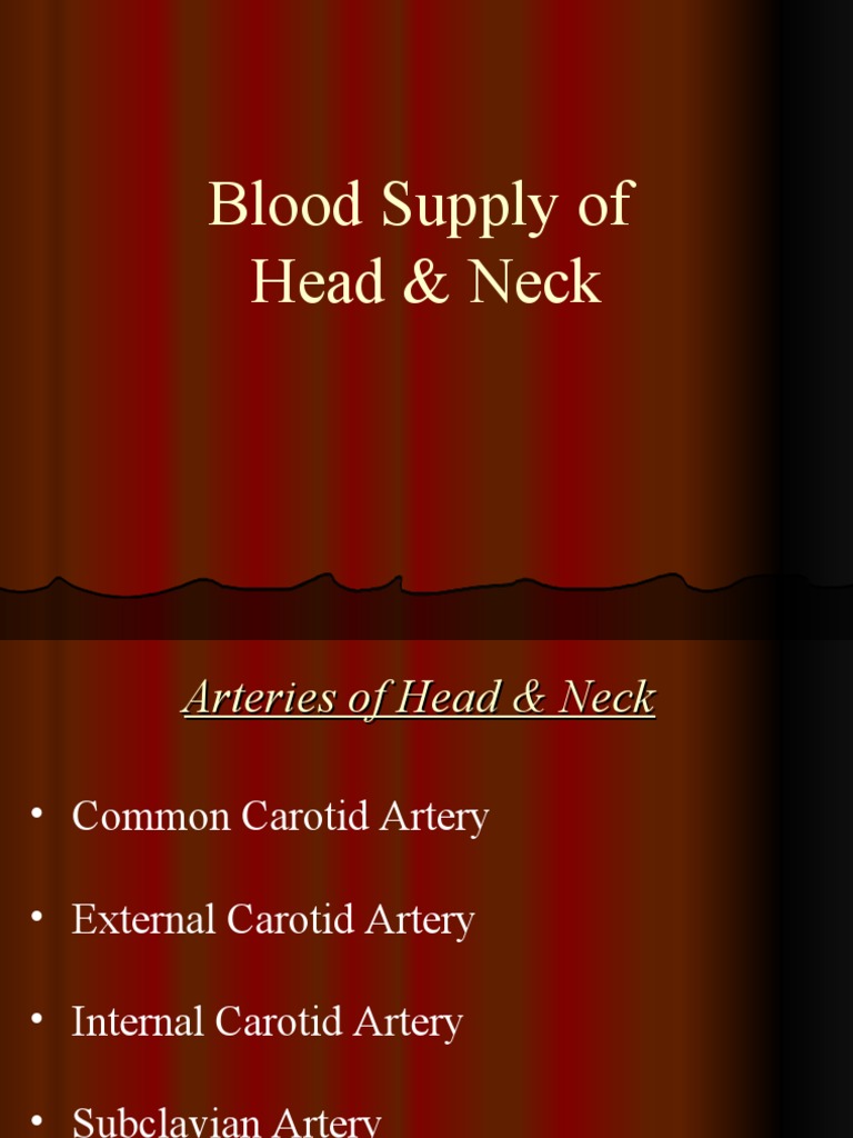 Blood Supply of Head and Neck | PDF | Common Carotid Artery | Neck