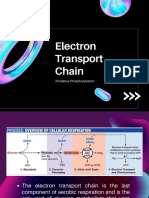 3electron Transport Chain