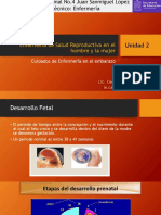 Concepcion y Desarrollo Fetal